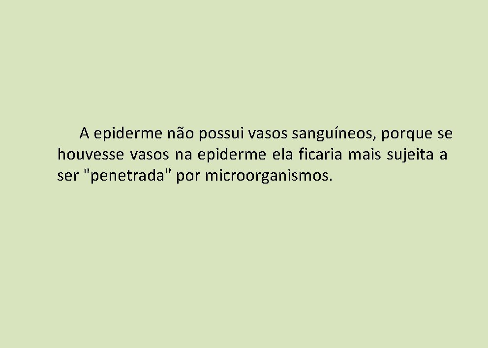 A epiderme não possui vasos sanguíneos, porque se houvesse vasos na epiderme ela ficaria A epiderme não possui vasos sanguíneos, porque se houvesse vasos na epiderme ela ficaria