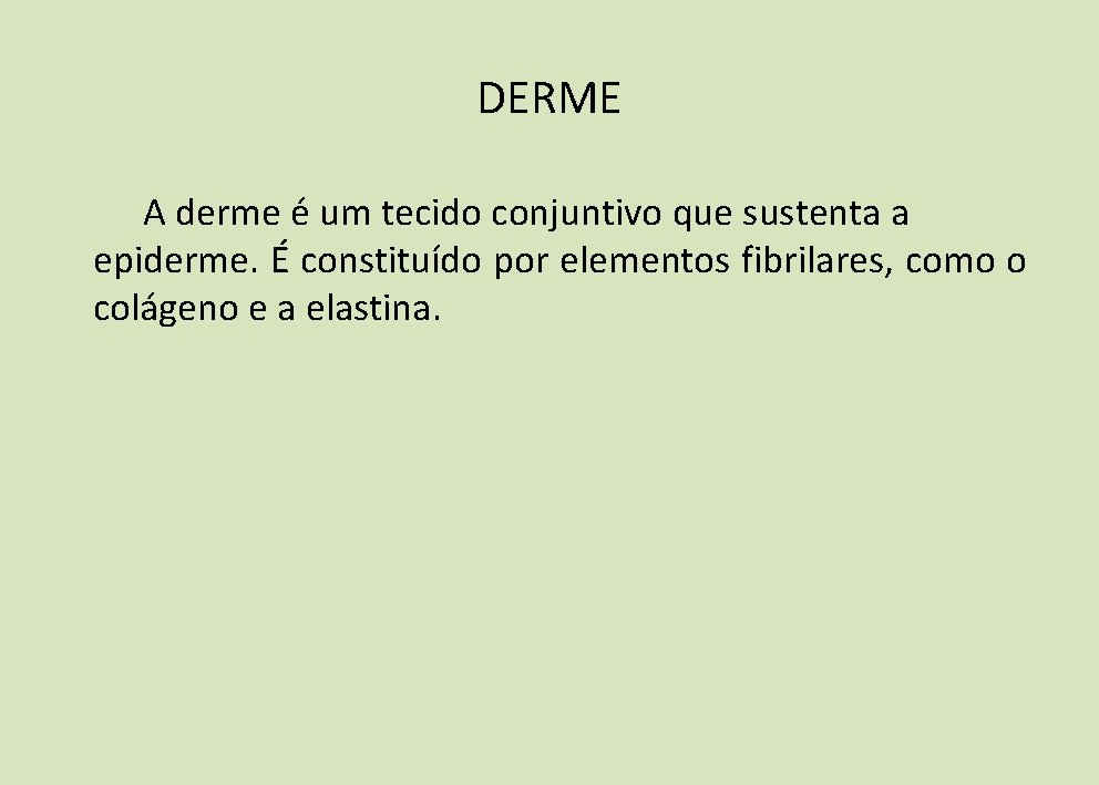 DERME A derme é um tecido conjuntivo que sustenta a epiderme. É constituído por DERME A derme é um tecido conjuntivo que sustenta a epiderme. É constituído por