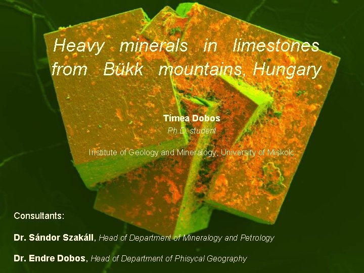 Heavy minerals in limestones from Bükk mountains, Hungary Tímea Dobos Ph. D. student Institute