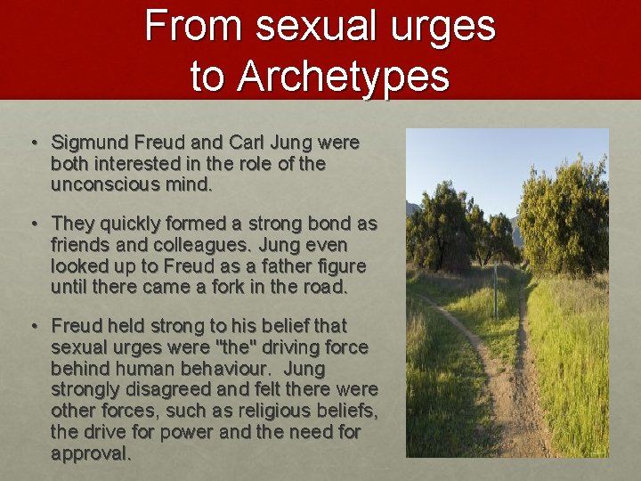 From sexual urges to Archetypes • Sigmund Freud and Carl Jung were both interested