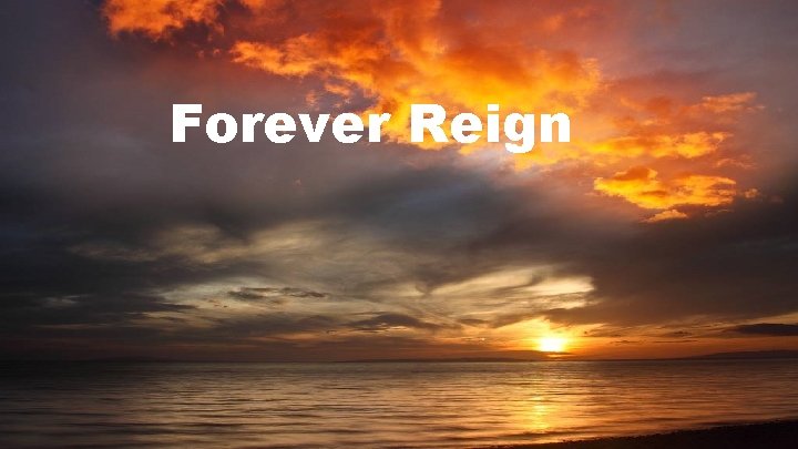 Forever Reign 