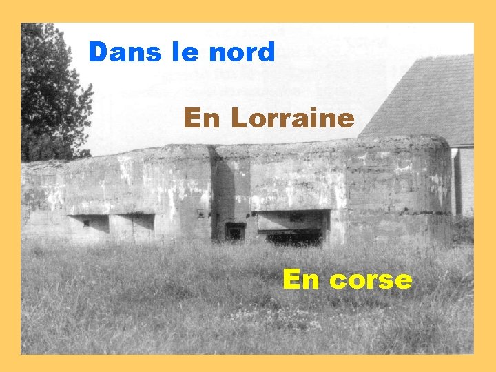 Dans le nord En Lorraine En corse 