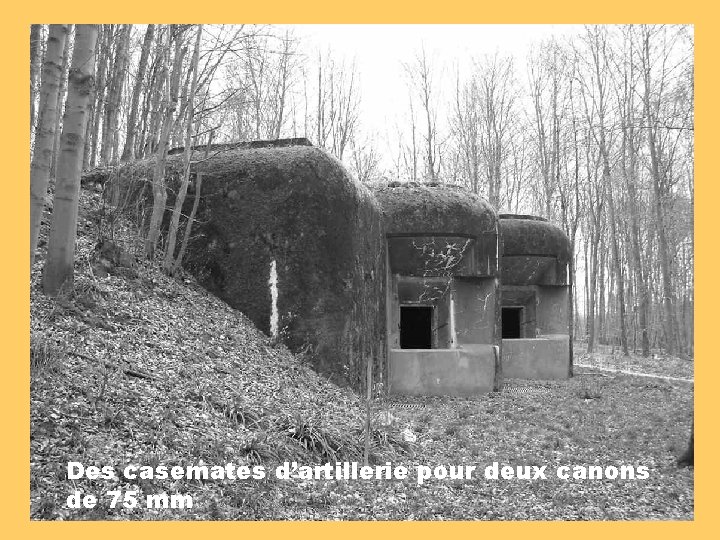 Des casemates d’artillerie pour deux canons de 75 mm 