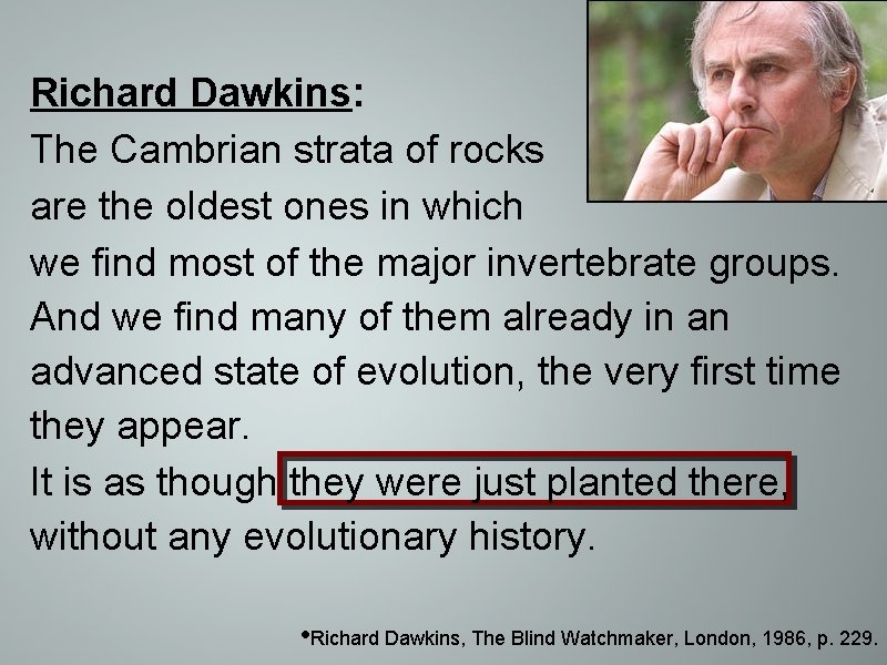 Richard Dawkins: The Cambrian strata of rocks are the oldest ones in which we