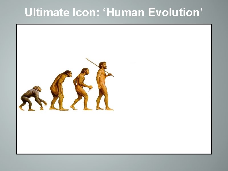 Ultimate Icon: ‘Human Evolution’ 