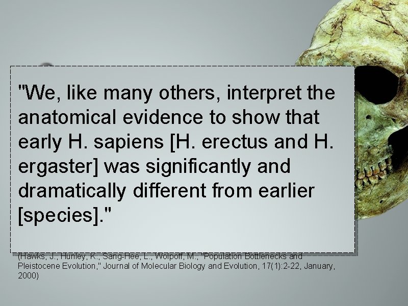Australophithecus "We, like many others, interpret the anatomical Homo evidence habilis to show that