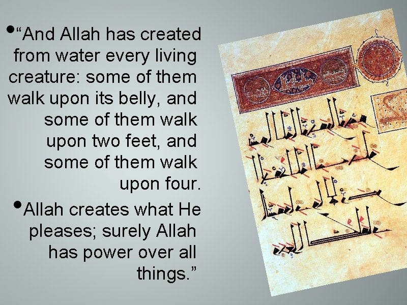  • “And Allah has created from water every living creature: some of them