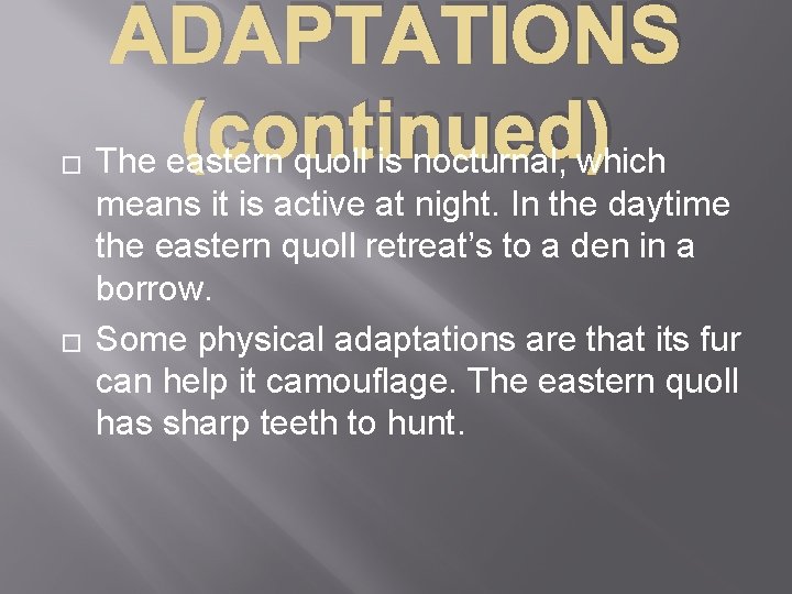 � � ADAPTATIONS (continued) The eastern quoll is nocturnal, which means it is active