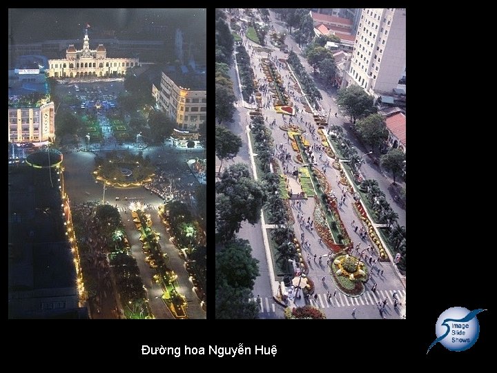 Đường hoa Nguyễn Huệ 