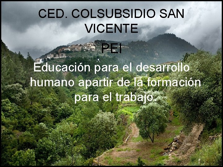 CED. COLSUBSIDIO SAN VICENTE PEI Educación para el desarrollo humano apartir de la formación