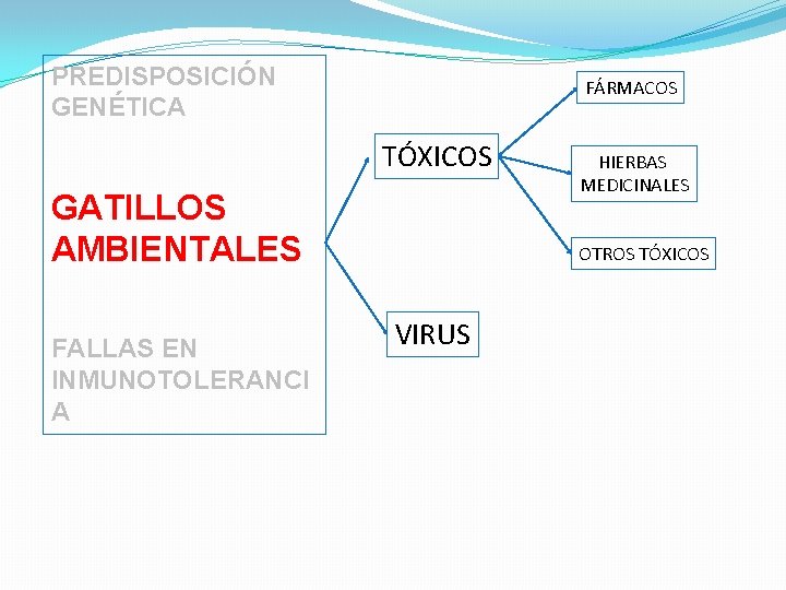 PREDISPOSICIÓN GENÉTICA FÁRMACOS TÓXICOS GATILLOS AMBIENTALES FALLAS EN INMUNOTOLERANCI A HIERBAS MEDICINALES OTROS TÓXICOS