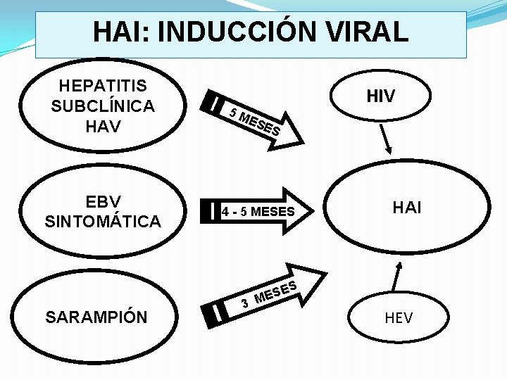 HAI: INDUCCIÓN VIRAL HEPATITIS SUBCLÍNICA HAV EBV SINTOMÁTICA HIV 5 M ES ES 4