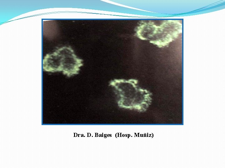 Dra. D. Baiges (Hosp. Muñiz) 