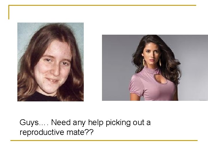 Guys…. Need any help picking out a reproductive mate? ? Guys…. Need any help picking out a reproductive mate? ?