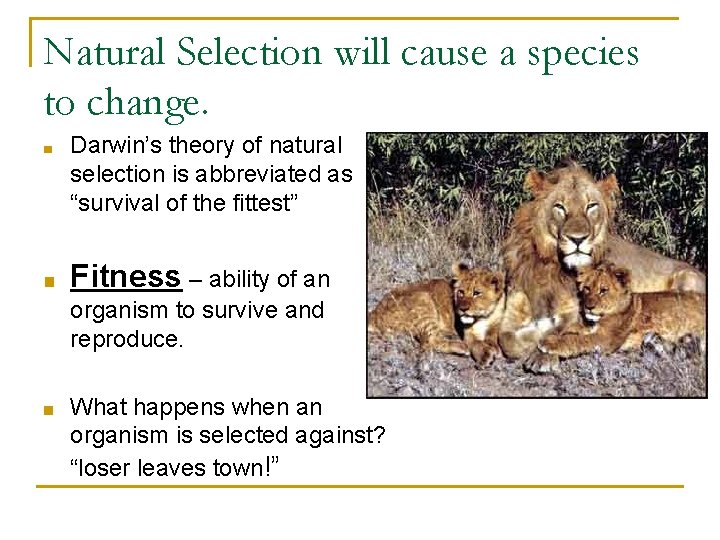 Natural Selection will cause a species to change. ■ ■ Darwin’s theory of natural Natural Selection will cause a species to change. ■ ■ Darwin’s theory of natural