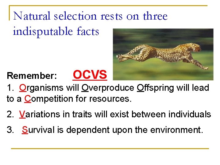 Natural selection rests on three indisputable facts Remember: OCVS 1. Organisms will Overproduce Offspring Natural selection rests on three indisputable facts Remember: OCVS 1. Organisms will Overproduce Offspring