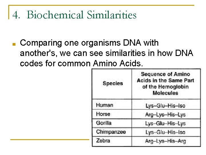 4. Biochemical Similarities ■ Comparing one organisms DNA with another's, we can see similarities 4. Biochemical Similarities ■ Comparing one organisms DNA with another's, we can see similarities