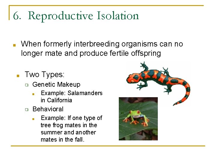6. Reproductive Isolation When formerly interbreeding organisms can no longer mate and produce fertile 6. Reproductive Isolation When formerly interbreeding organisms can no longer mate and produce fertile