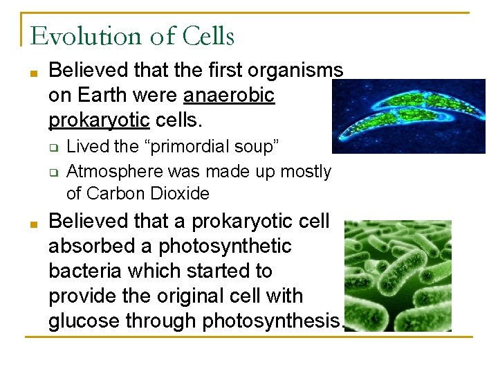 Evolution of Cells ■ Believed that the first organisms on Earth were anaerobic prokaryotic Evolution of Cells ■ Believed that the first organisms on Earth were anaerobic prokaryotic