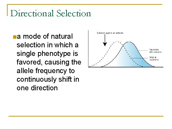 Directional Selection ■a mode of natural selection in which a single phenotype is favored, Directional Selection ■a mode of natural selection in which a single phenotype is favored,