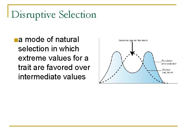 Disruptive Selection ■a mode of natural selection in which extreme values for a trait Disruptive Selection ■a mode of natural selection in which extreme values for a trait
