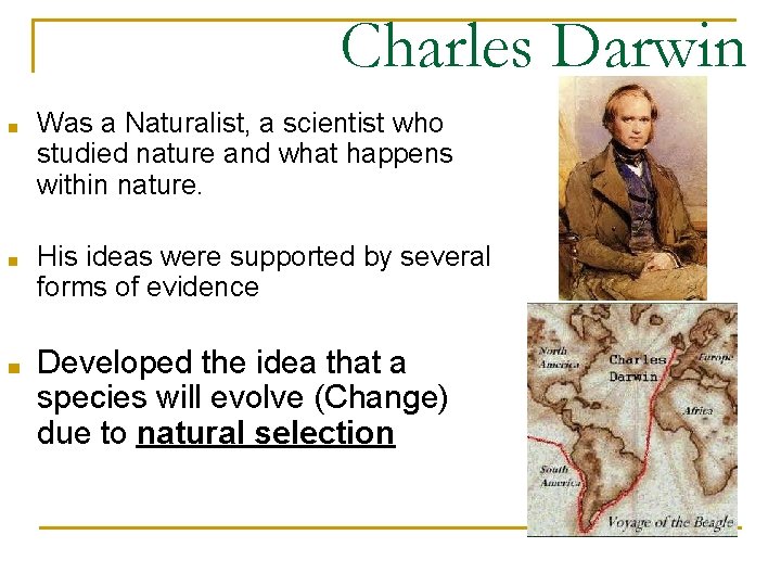 Charles Darwin ■ Was a Naturalist, a scientist who studied nature and what happens Charles Darwin ■ Was a Naturalist, a scientist who studied nature and what happens