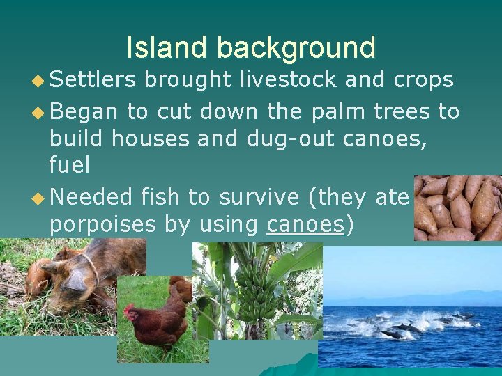 Island background u Settlers brought livestock and crops u Began to cut down the
