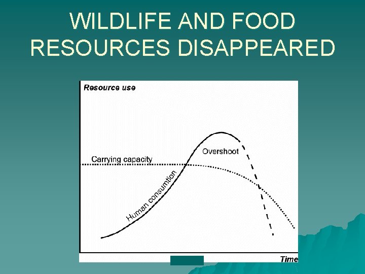 WILDLIFE AND FOOD RESOURCES DISAPPEARED 