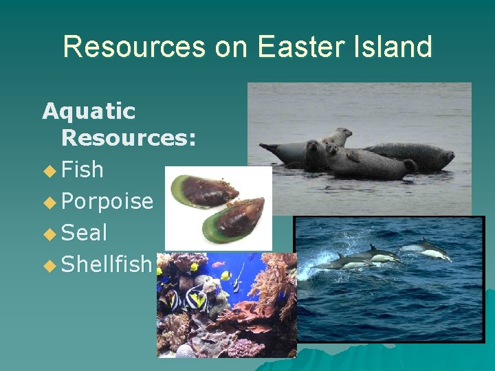 Resources on Easter Island Aquatic Resources: u Fish u Porpoise u Seal u Shellfish