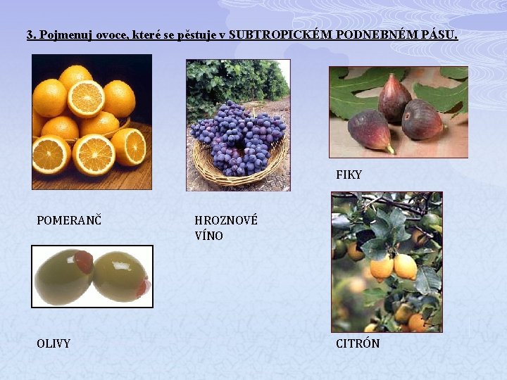 3. Pojmenuj ovoce, které se pěstuje v SUBTROPICKÉM PODNEBNÉM PÁSU. FIKY POMERANČ OLIVY HROZNOVÉ