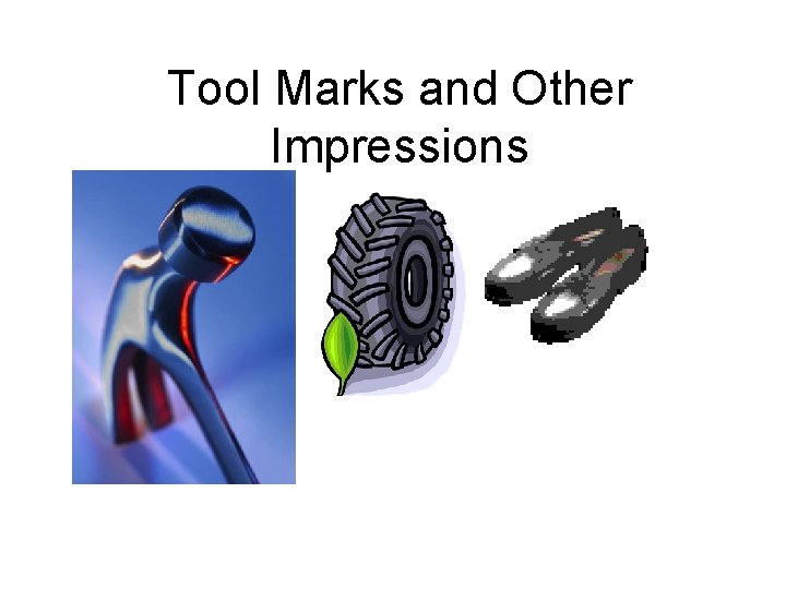 Tool Marks and Other Impressions 