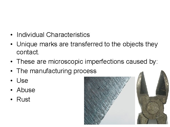  • Individual Characteristics • Unique marks are transferred to the objects they contact.