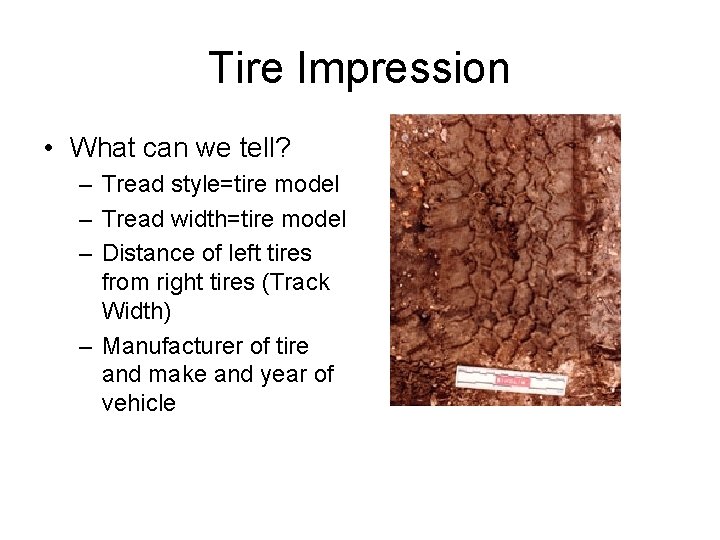 Tire Impression • What can we tell? – Tread style=tire model – Tread width=tire
