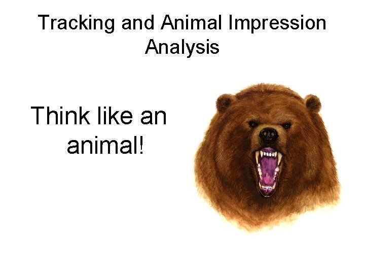 Tracking and Animal Impression Analysis Think like an animal! 