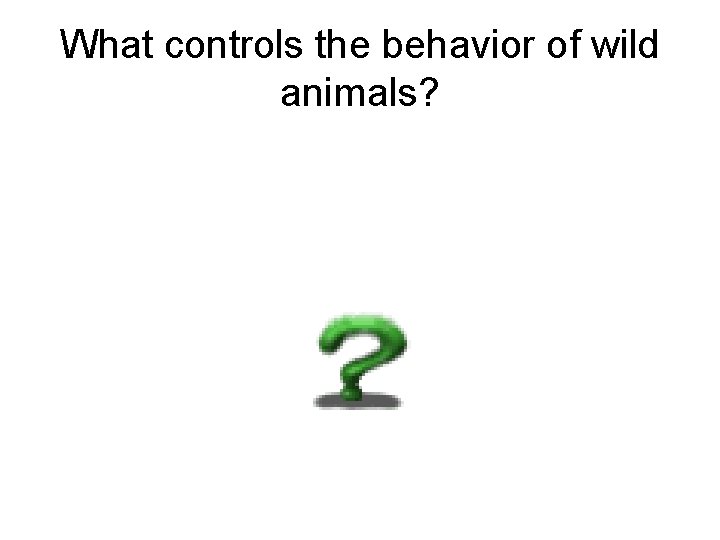 What controls the behavior of wild animals? 