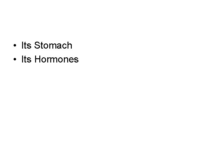  • Its Stomach • Its Hormones 