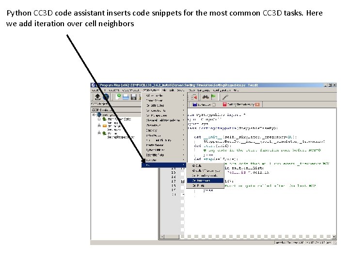 Python CC 3 D code assistant inserts code snippets for the most common CC