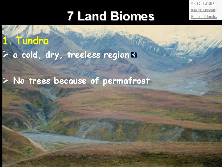 Video: Tundra 7 Land Biomes 1. Tundra Ø a cold, dry, treeless region Ø