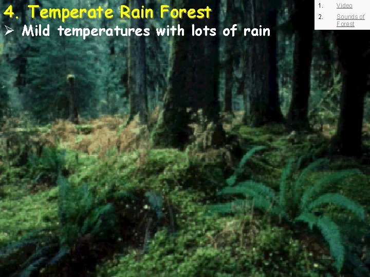 4. Temperate Rain Forest Ø Mild temperatures with lots of rain 1. Video 2.