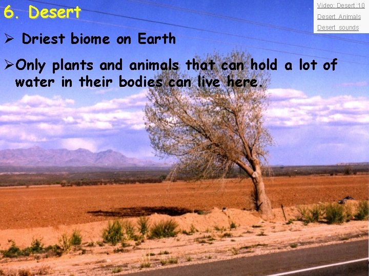 6. Desert Ø Driest biome on Earth Video: Desert : 10 Desert Animals Desert