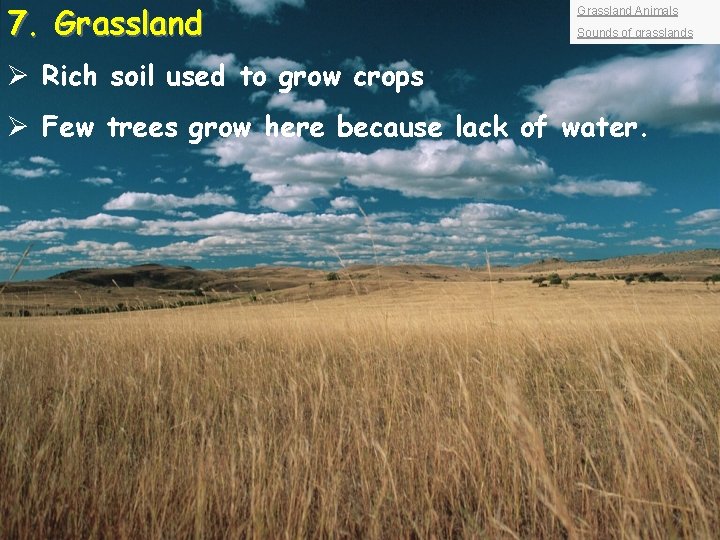 7. Grassland Animals Sounds of grasslands Ø Rich soil used to grow crops Ø