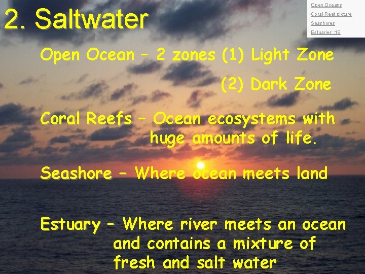 2. Saltwater Open Oceans Coral Reef picture Seashores Estuaries : 18 Open Ocean –