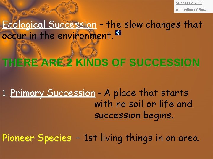 Succession : 44 Animation of Suc. Ecological Succession – the slow changes that occur