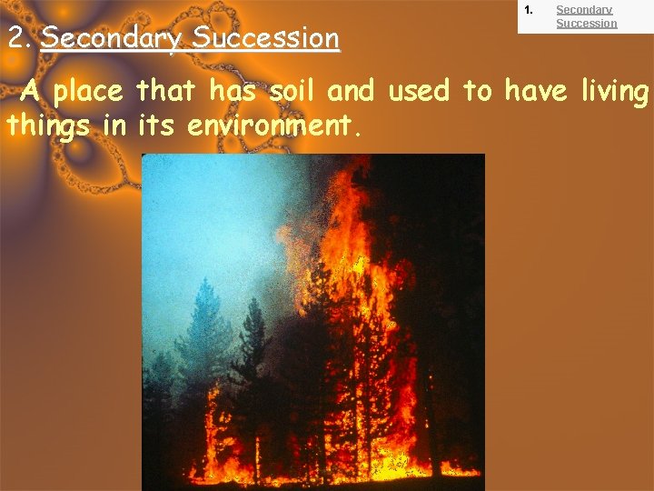 2. Secondary Succession 1. Secondary Succession A place that has soil and used to