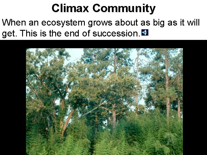 Climax Community When an ecosystem grows about as big as it will get. This