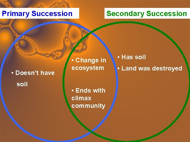 Primary Succession • Doesn’t have soil • Change in ecosystem • Ends with climax