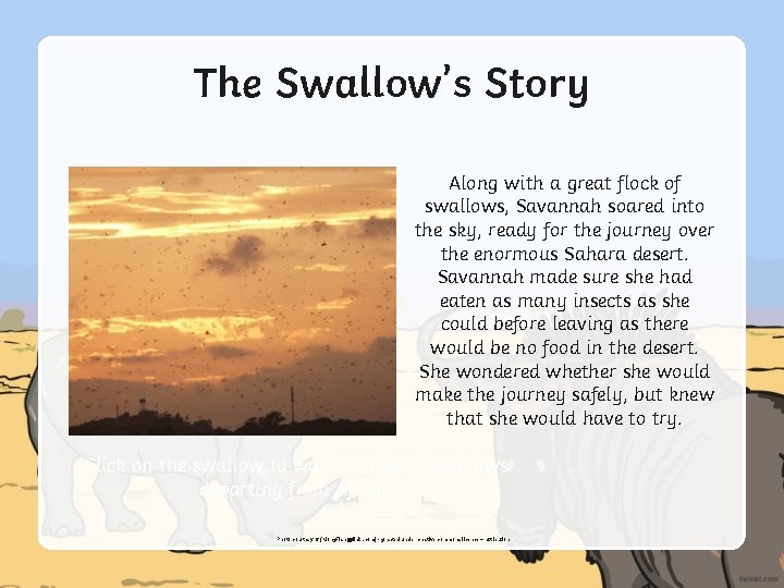 The Swallow’s Story Along with a great flock of swallows, Savannah soared into the
