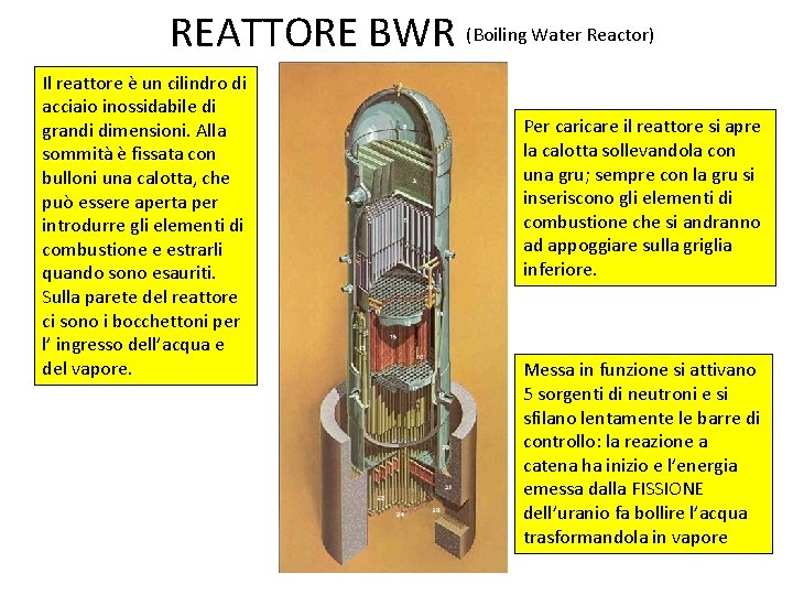 REATTORE BWR (Boiling Water Reactor) Il reattore è un cilindro di acciaio inossidabile di