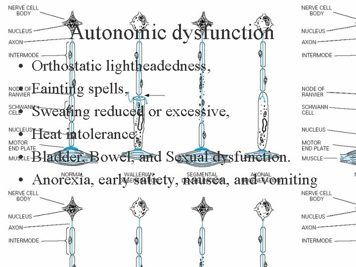 Autonomic dysfunction • • • Orthostatic lightheadedness, Fainting spells, Sweating reduced or excessive, Heat