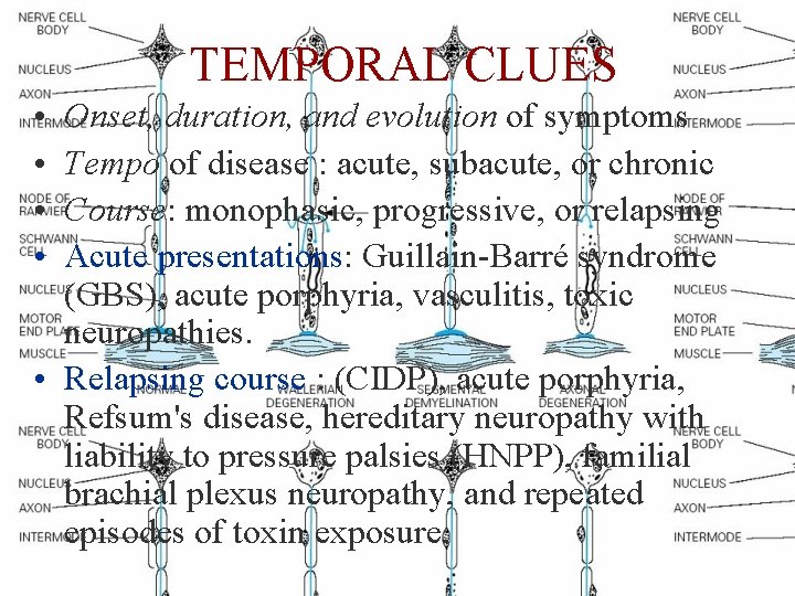 TEMPORAL CLUES • • Onset, duration, and evolution of symptoms Tempo of disease :